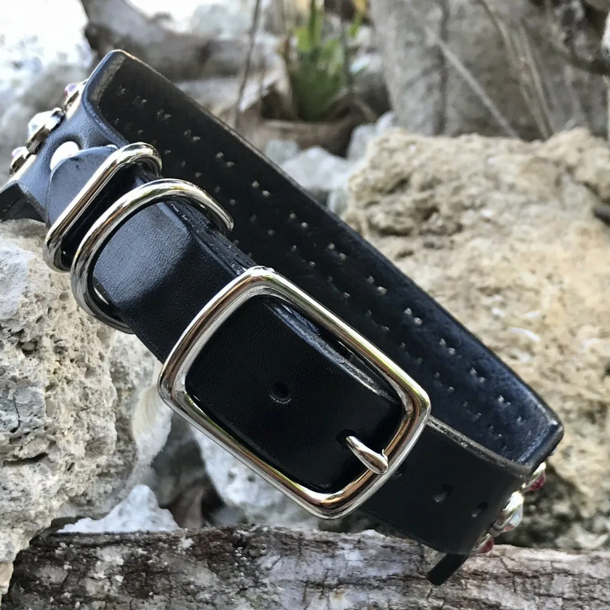 Designer Leather Collar The Olympia