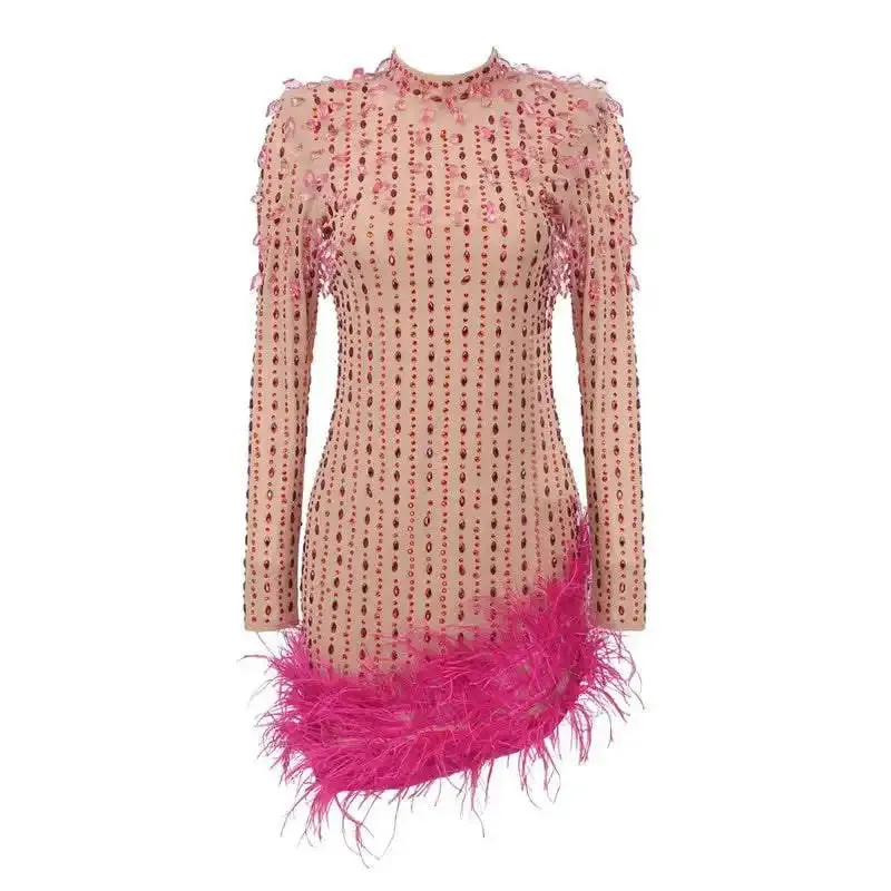 Keyla Sheer Feather Long Sleeve Mini Dress