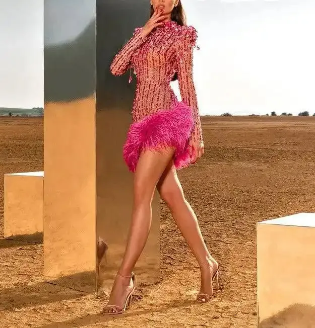 Keyla Sheer Feather Long Sleeve Mini Dress