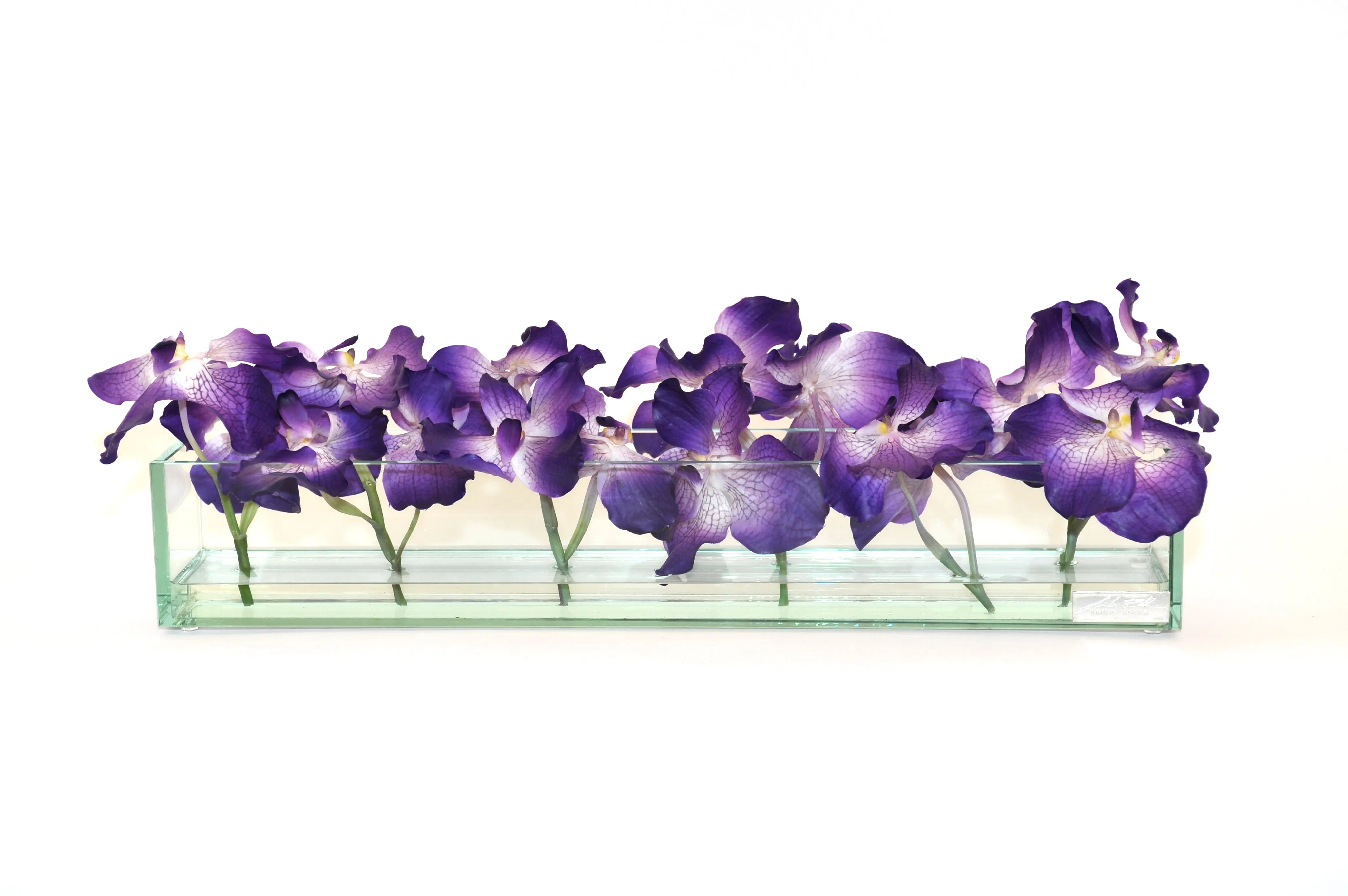 Purple Vanda 24" Plate Glass Planter